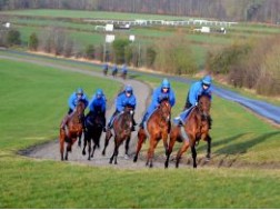 11. Horse Racing & the Cheltenham Gold Cup
